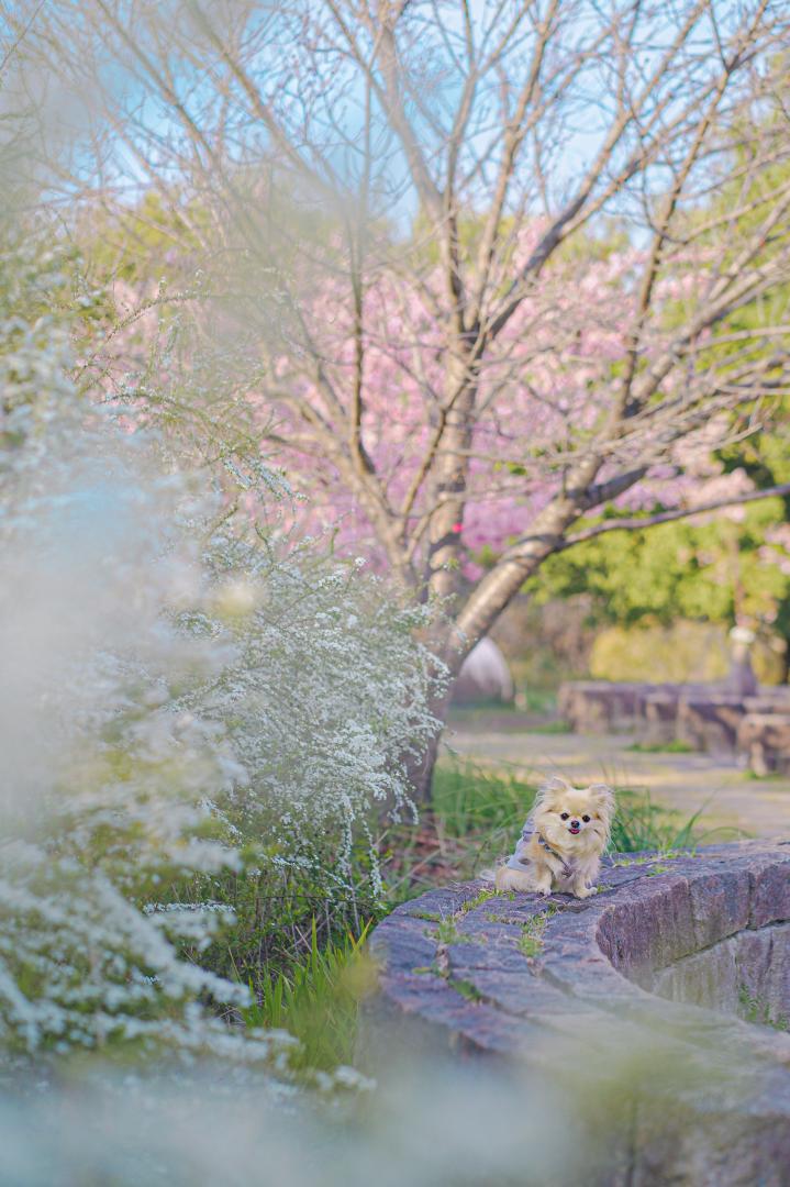 優しい春カラー