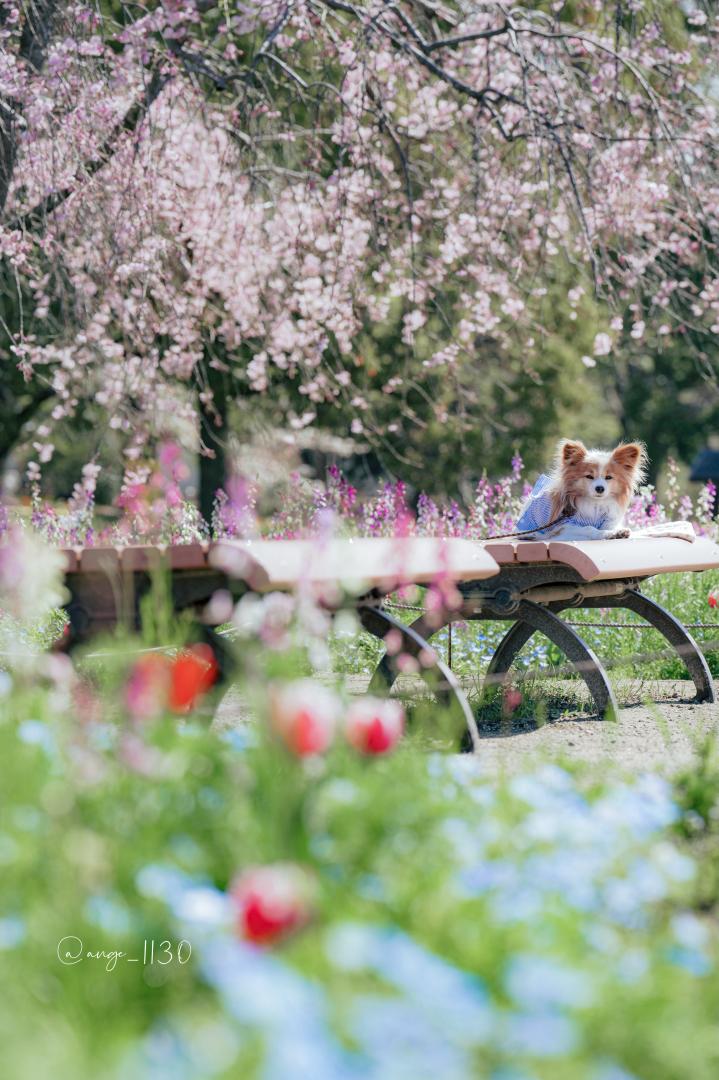 ちょっとひと休み