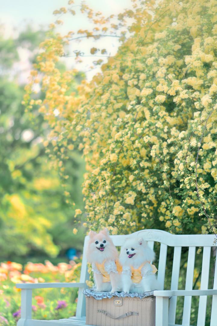 春のひだまりに包まれて