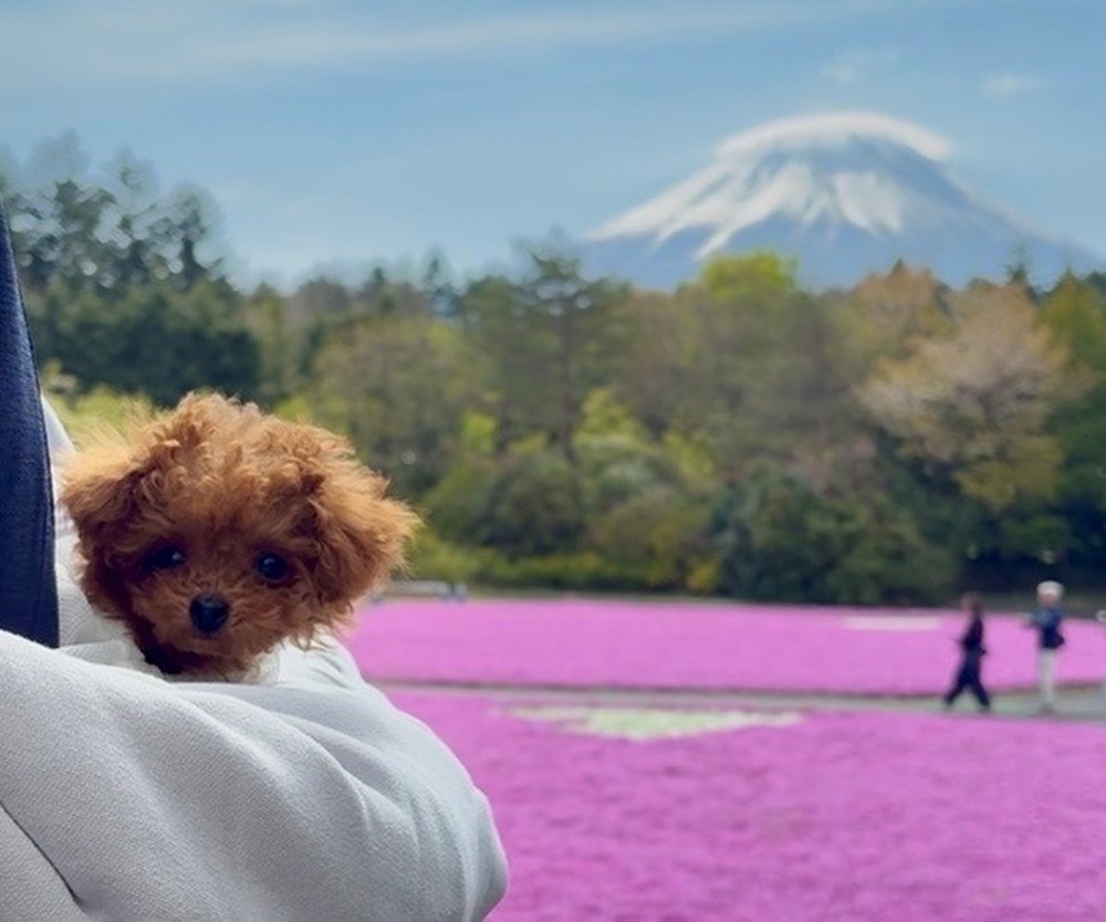 初めてのお出かけ✨