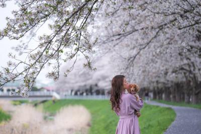 桜とママと…