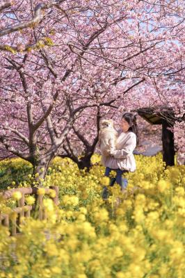桃源郷のような世界