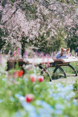 ちょっとひと休み
