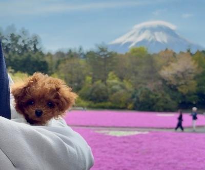 初めてのお出かけ✨