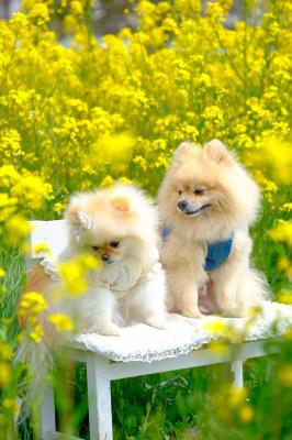 春の距離、ふたりの時間