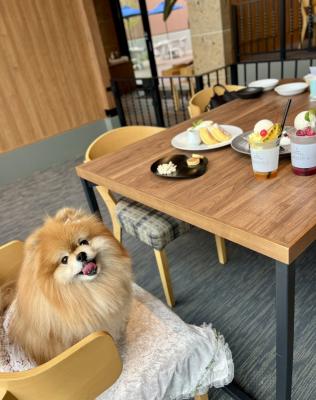 はやく食べたいよ～