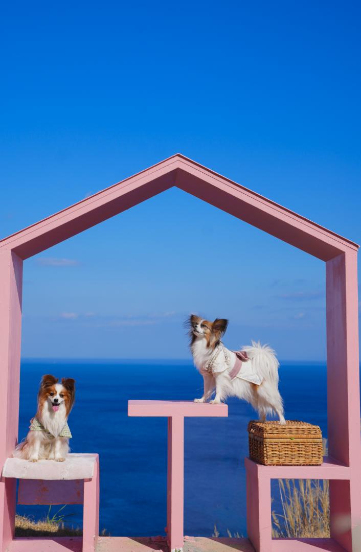 春の海～春風を感じるパンとモネ