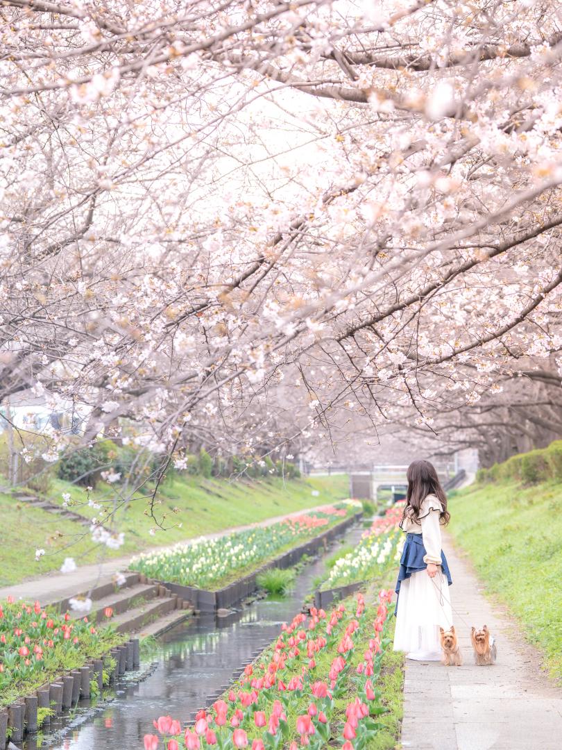 お姉ちゃんとお散歩