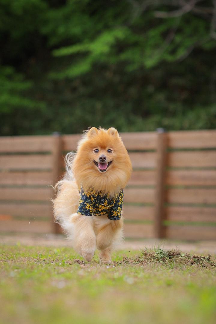 最高の笑顔