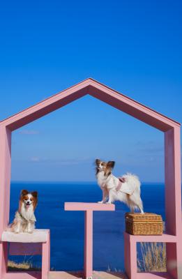 春の海～春風を感じるパンとモネ