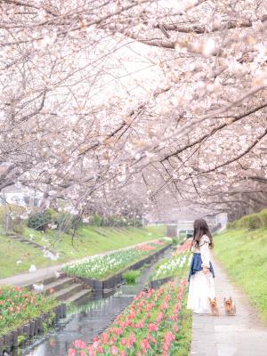 お姉ちゃんとお散歩