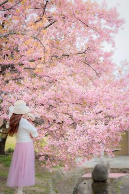 モコちゃんとお花見