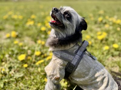 やさしい春の日差しのなかで