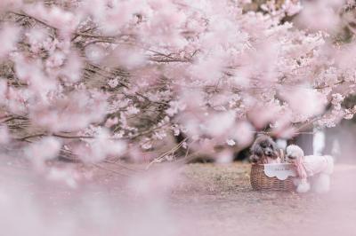 今年は妹も一緒だね