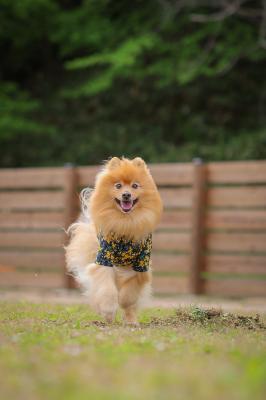 最高の笑顔
