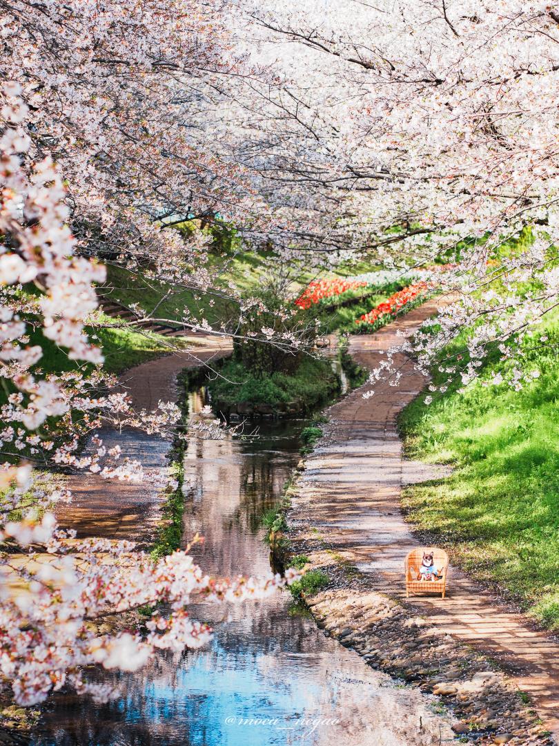 この景色を余すことなく