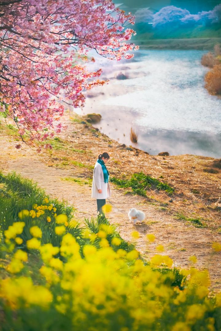 静かな朝、南伊豆にて