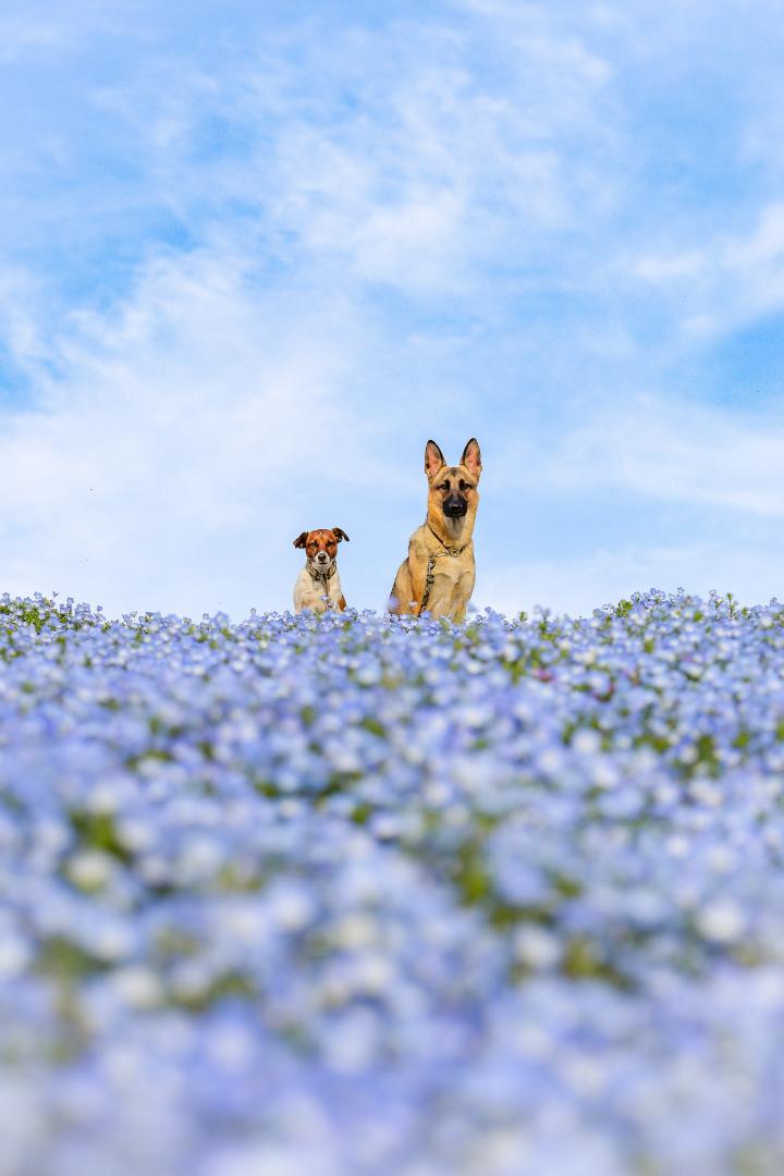 青の世界は絶景