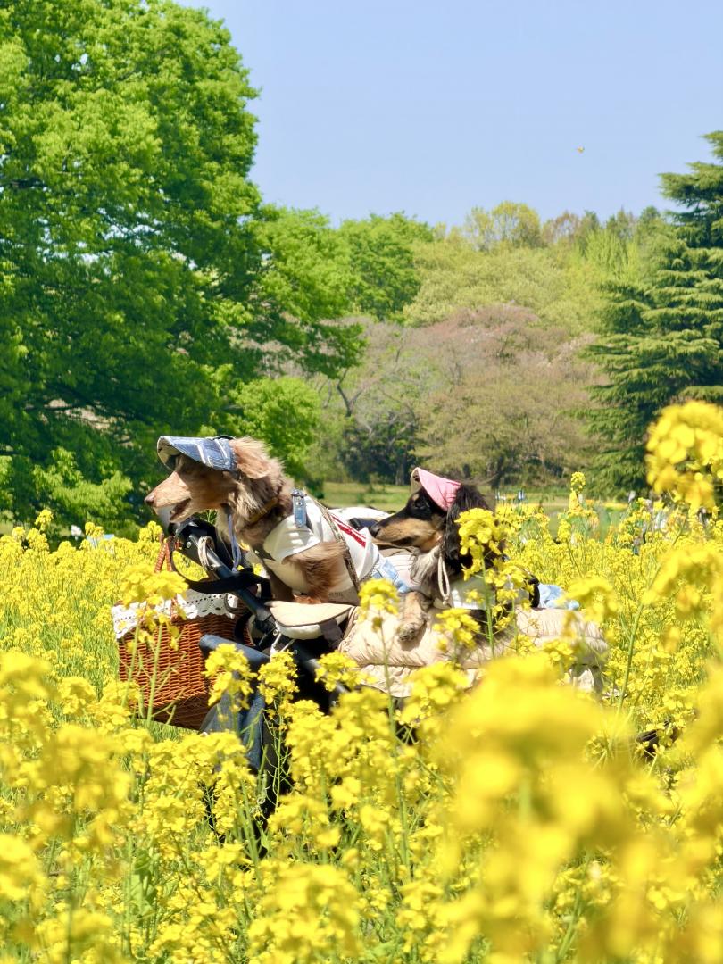 何を見つけたの？