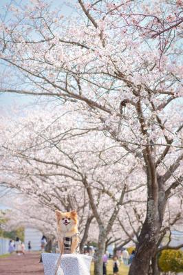 新一年生のお友達がいっぱい