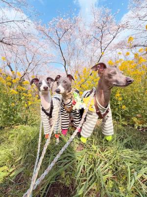 春の匂いがいっぱい