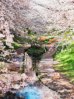 この景色を余すことなく