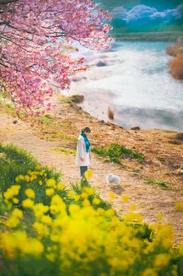 静かな朝、南伊豆にて