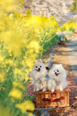 春彩のワンシーン