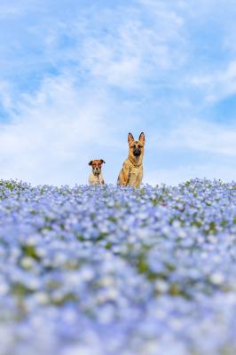 青の世界は絶景