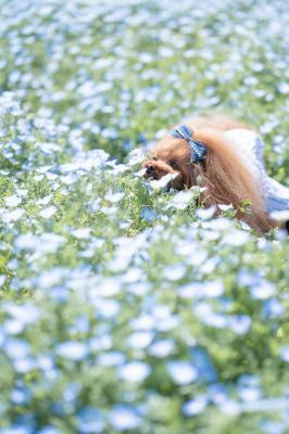 良い匂いするかなぁ