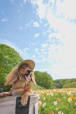 目を閉じたら、春だった