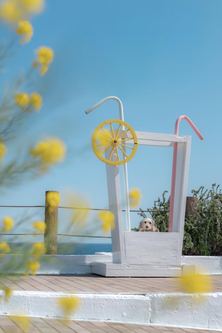 春色ソーダを一緒にいかが？