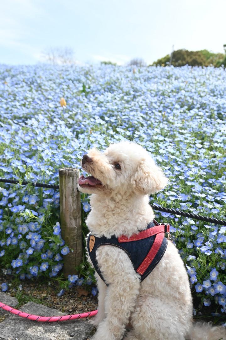 青い春のお出かけ