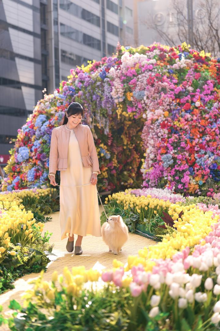 オズへの続く道