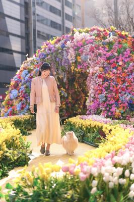 オズへの続く道