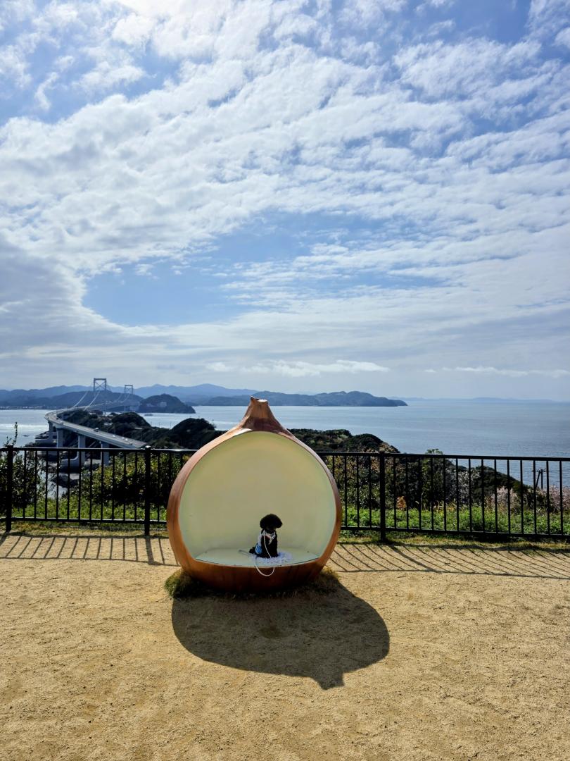 大きな玉ねぎの中から…