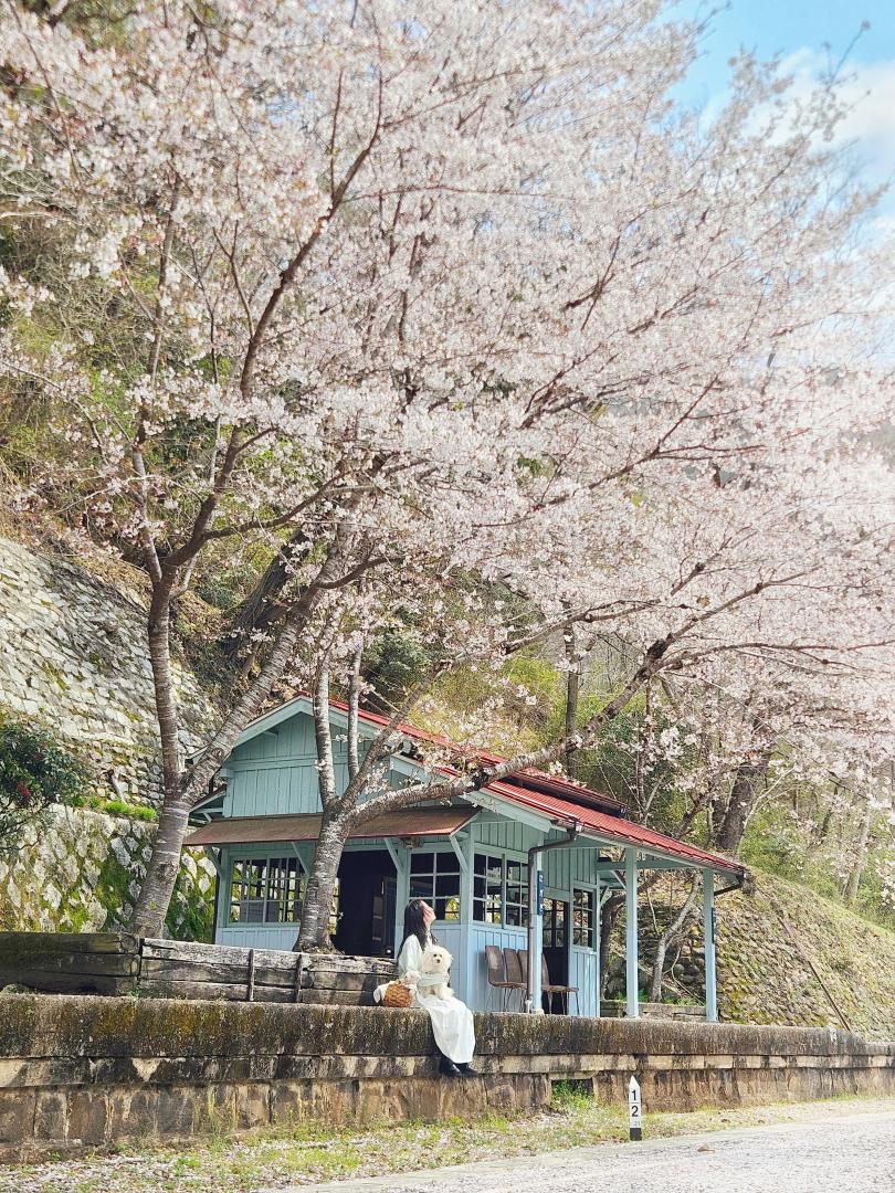 電車まだかな？