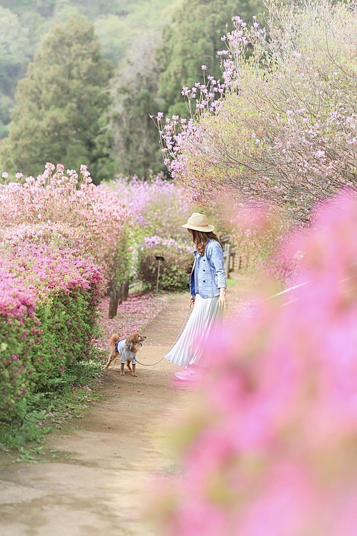 スペシャル散歩道