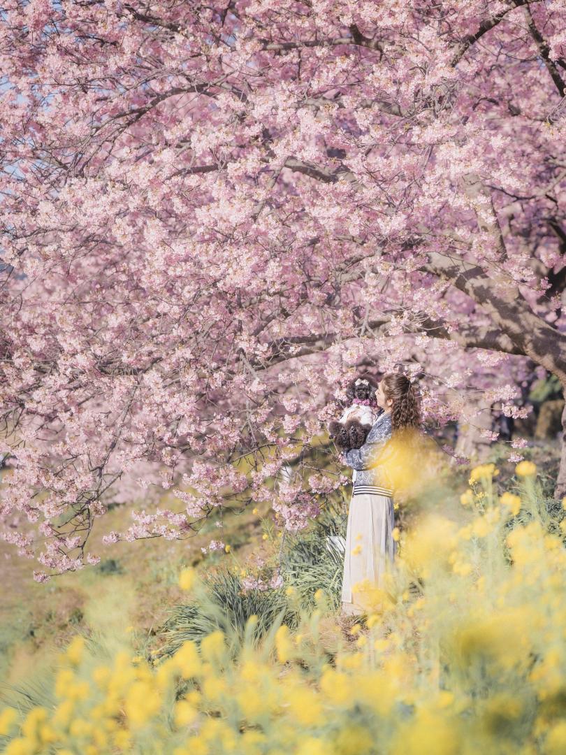 ねぇ、春の匂いするね