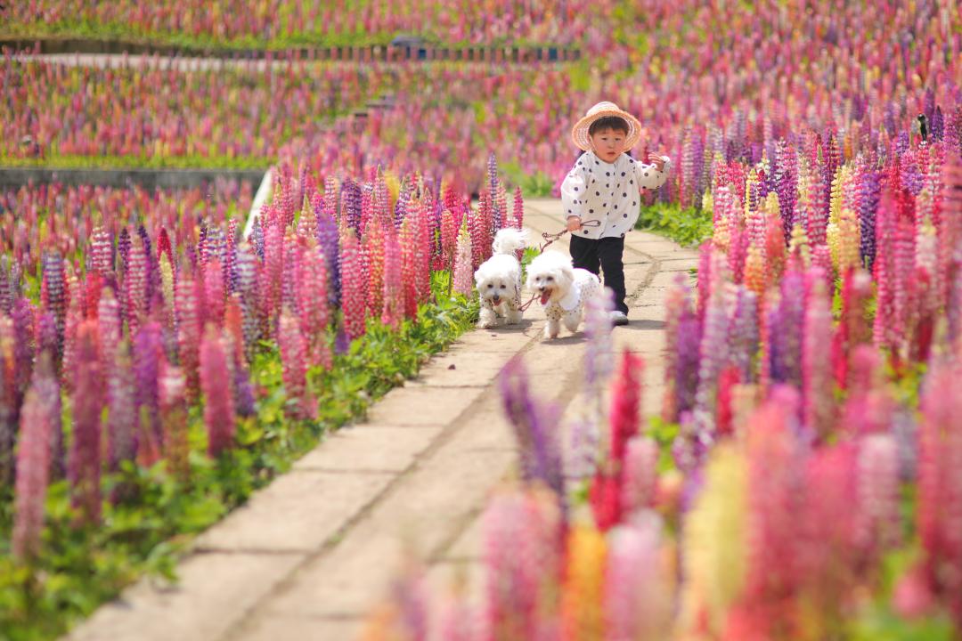 ママに向かってよーいどん！