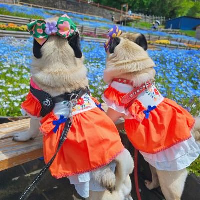 ネモフィラとわたし達