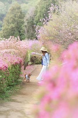 スペシャル散歩道