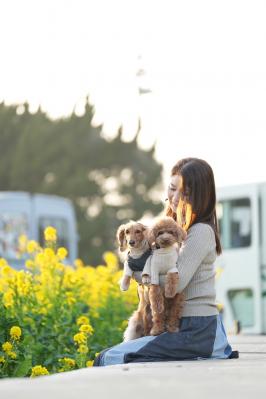 菜の花に包まれる春のやさしいひととき