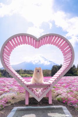 ハートから富士山
