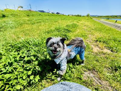 一緒がいちばん楽しい