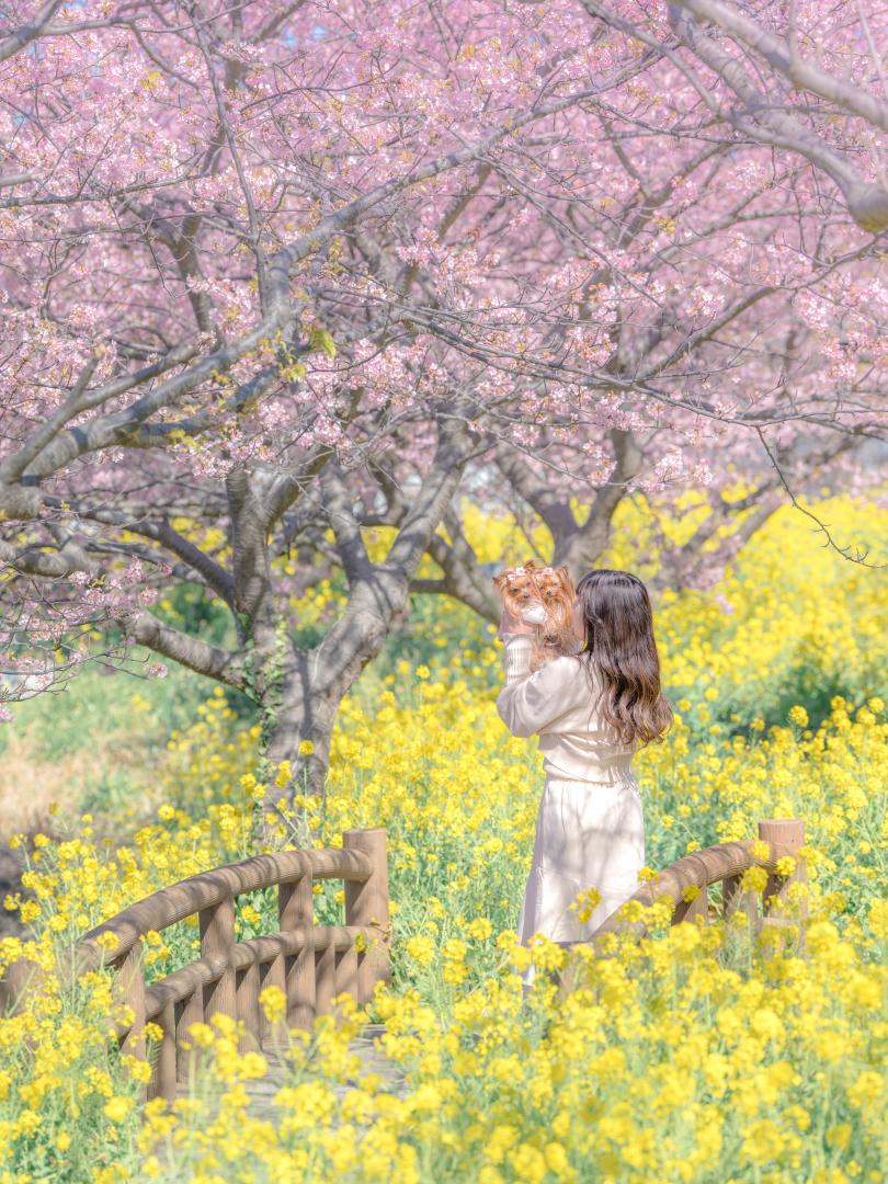 春色のひととき