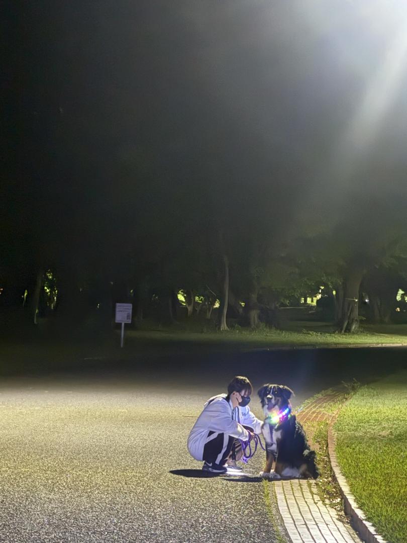 夜のおさんぽ、ふたりで