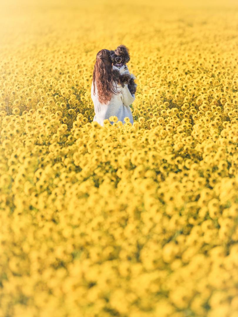 幸せのまんなか