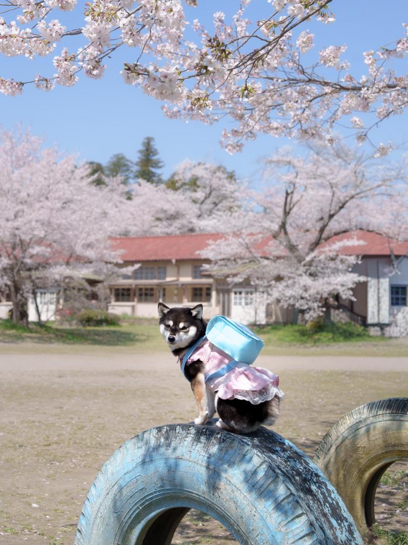 友達100ワン出来るかな？