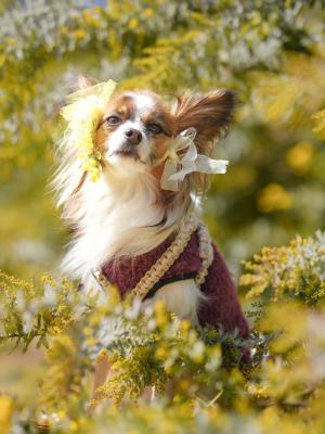 春の始まりの合図